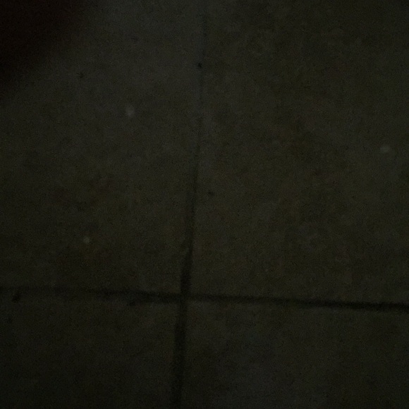 alexdiaz13